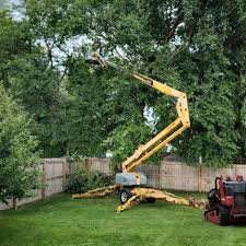 Leaf Removal in Berea, KY