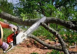 Best Lawn Watering Services  in Berea, KY