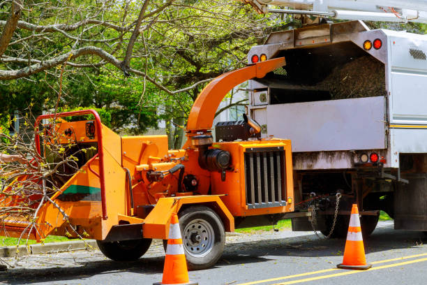 Best Utility Line Clearance  in Berea, KY