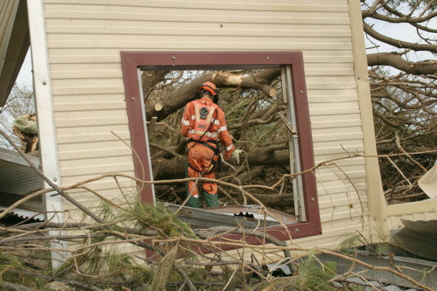 Best Tree Trimming and Pruning  in Berea, KY