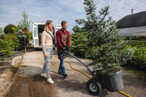 Professional Tree Services in Berea, KY