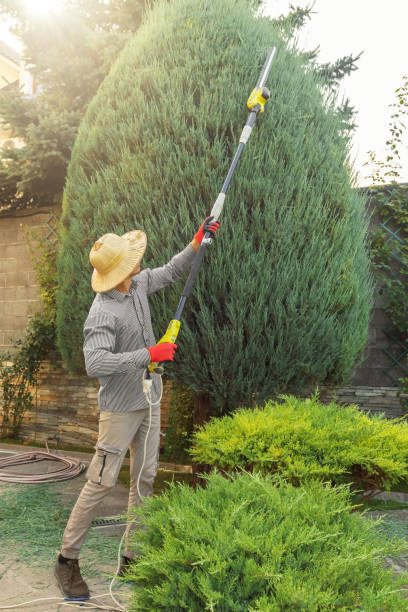 Best Aeration Services  in Berea, KY